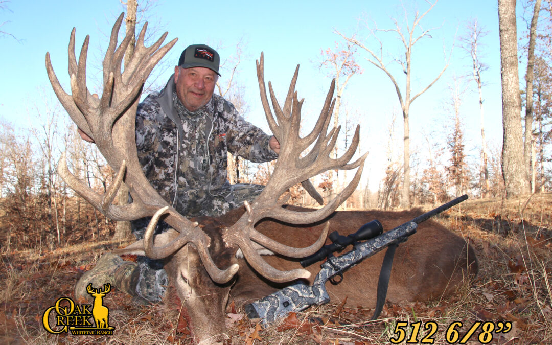 Oak Creek Red Stag Harvest